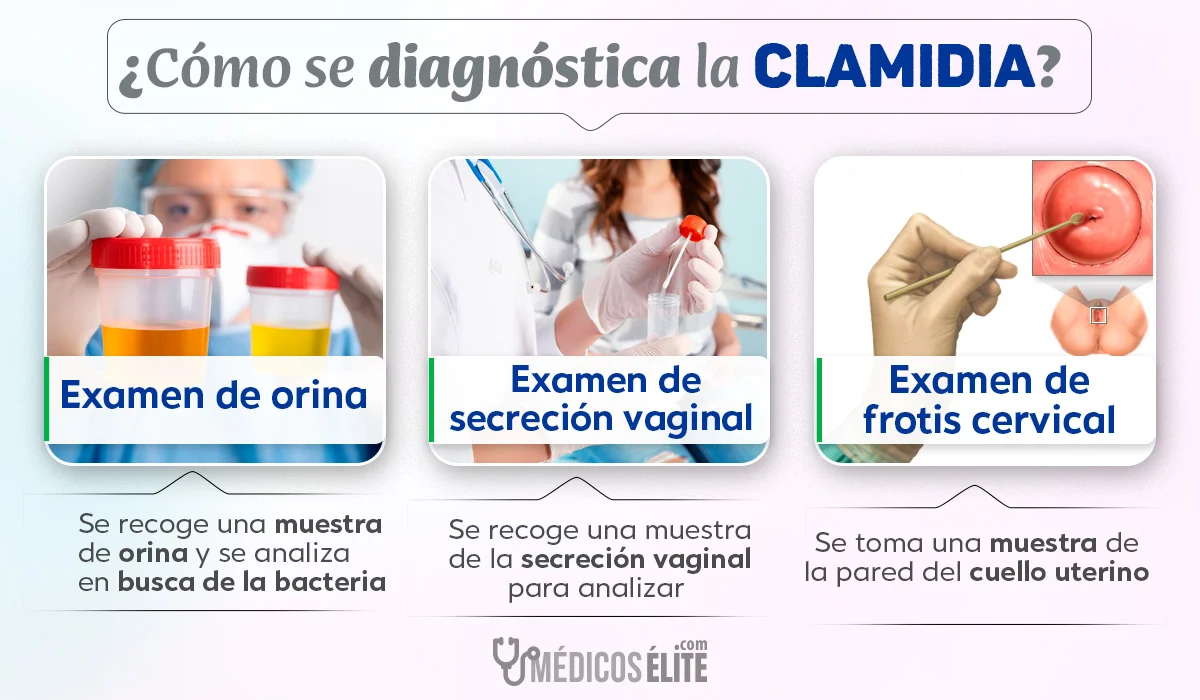 Exámenes De Diagnóstico Para La Clamidia Exámenes De Diagnóstico Para La Clamidia