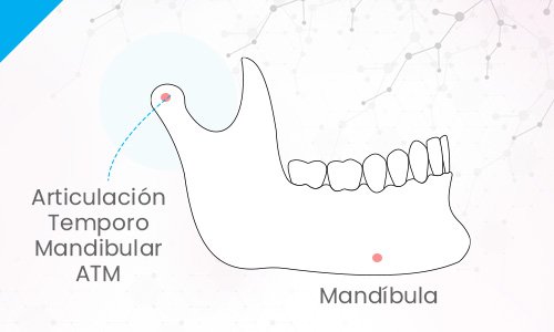 articulacion-temporo-mandibular-atm