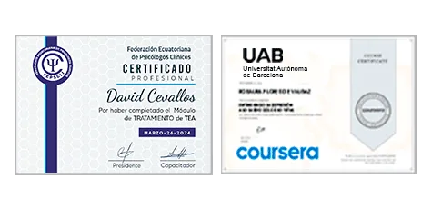 Certificados del Curso