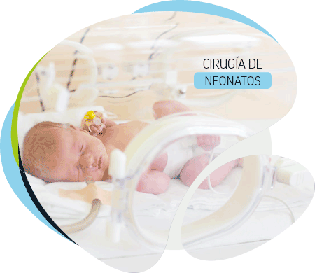 cirugia-de-neonatos cirugia-de-neonatos