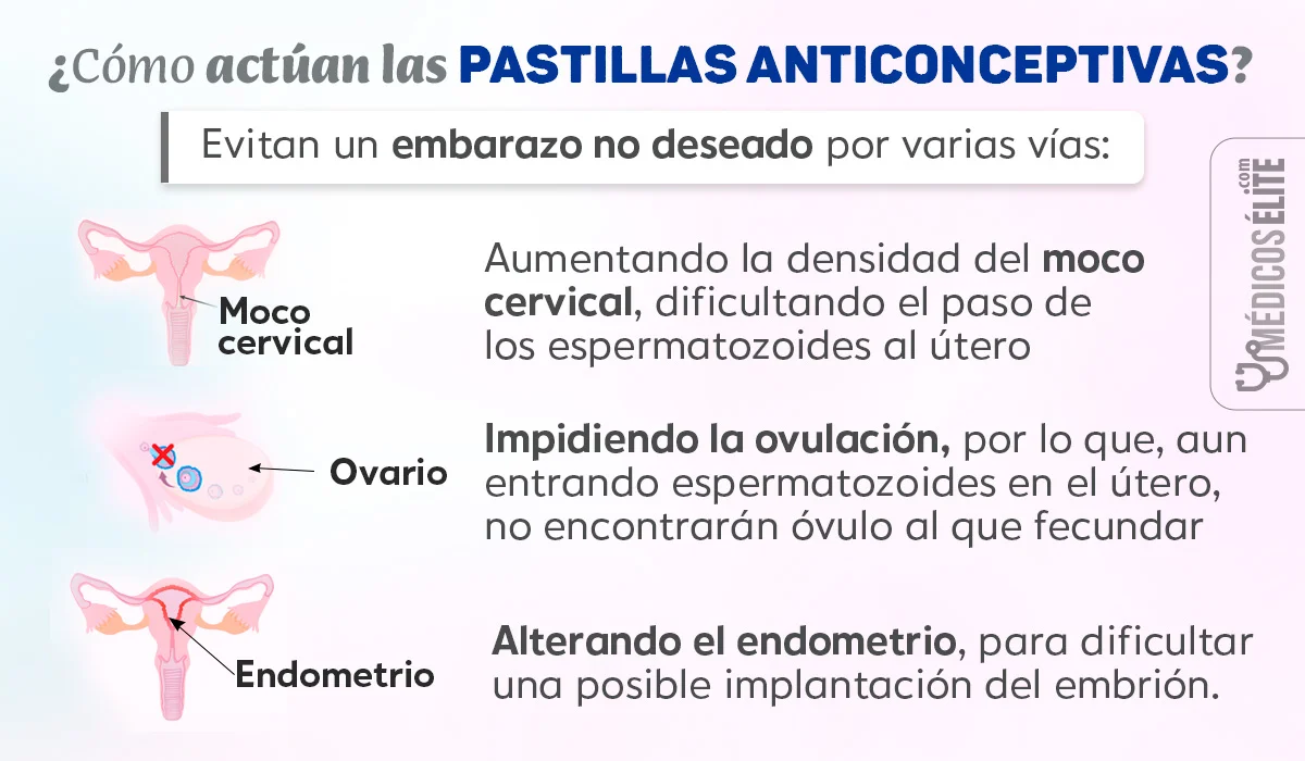 Pastillas Anticonceptivas ¿cómo Actúan? Pastillas Anticonceptivas cómo Actúan