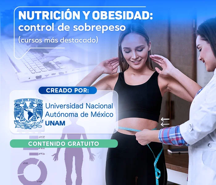 Curso Nutrición Y Obesidad
