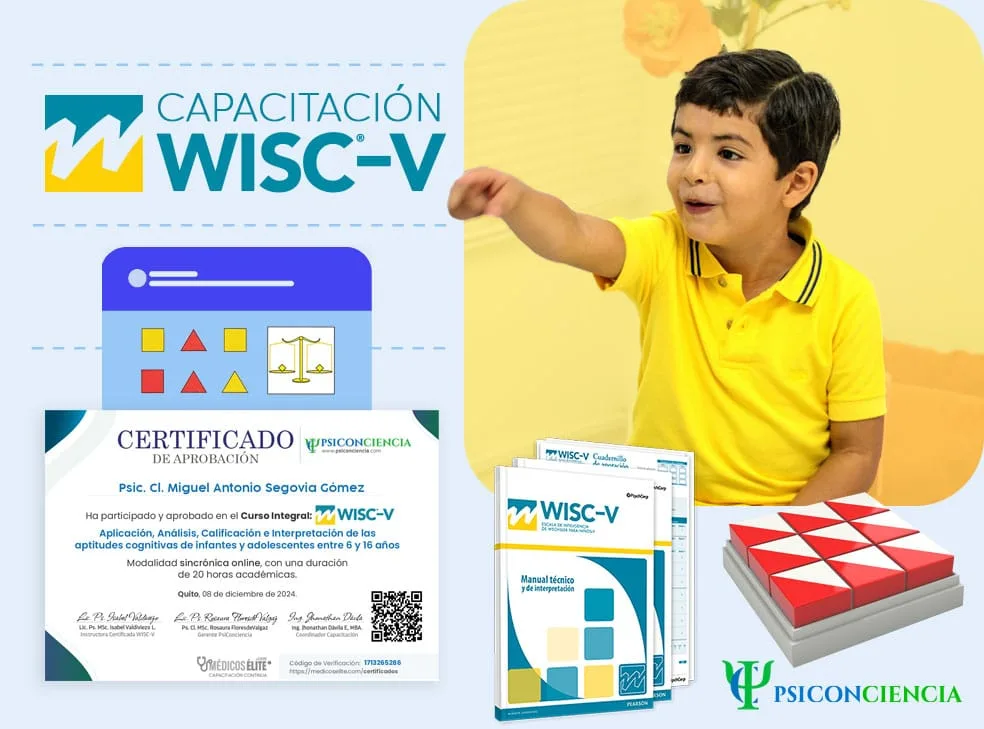 Curso WISC-V Certificado Curso WISC-V Certificado