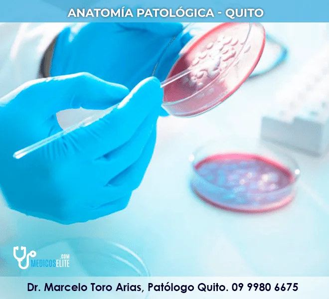 dr-marcelo-toro-arias-citopatologo