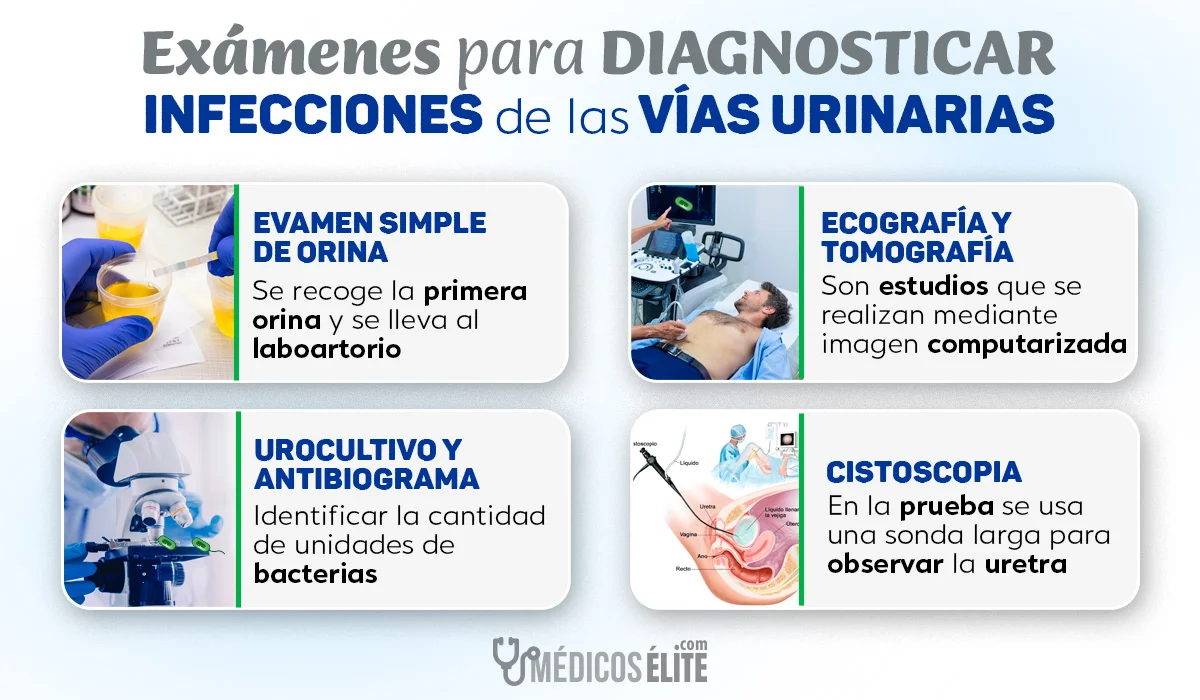 Exámenes para Infecciones de Vías Urinarias
