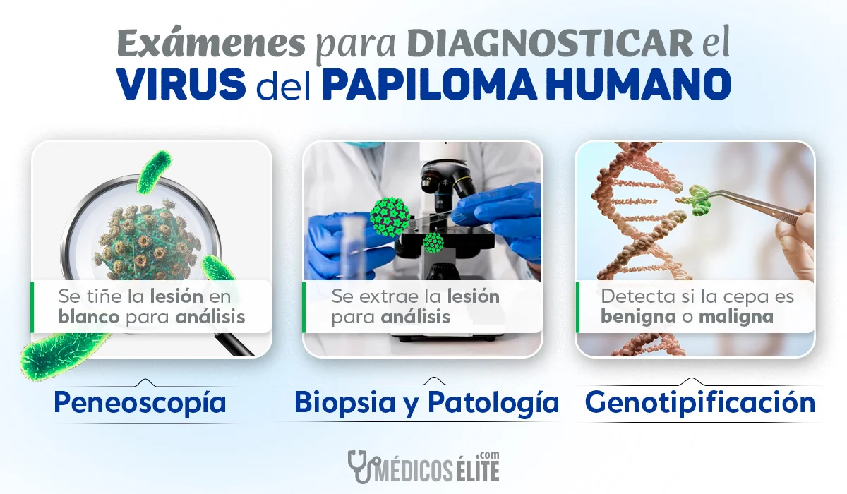 Exámenes virus del papiloma humano