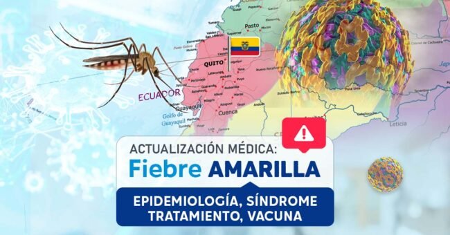 Fiebre Amarilla en Ecuador, Actualización Médica 2025