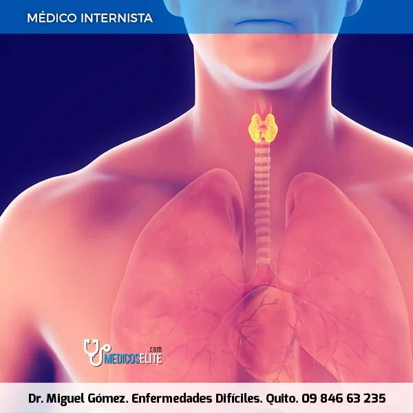 Hipotiroidismo / Hipertiroidismo Hipotiroidismo / Hipertiroidismo