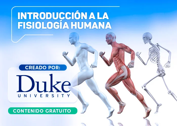 Introducción a la fisiologia humana