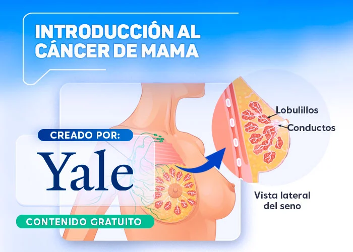 Introduccion al cancer de mama