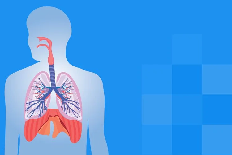 pulmones-quito-neumologia-respiratorio
