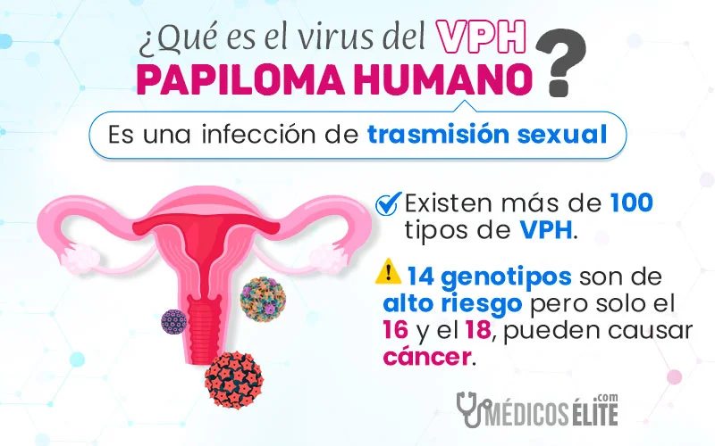 qué Es El Virus Del Papiloma Humano